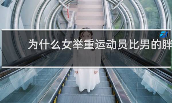 为什么女举重运动员比男的胖
