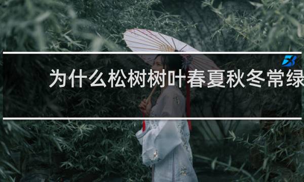 为什么松树树叶春夏秋冬常绿