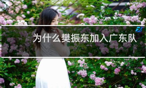 为什么樊振东加入广东队