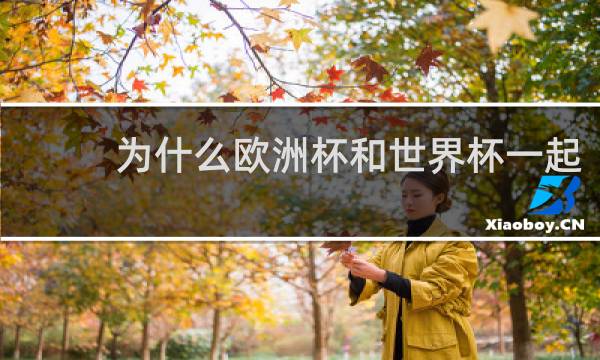 为什么欧洲杯和世界杯一起