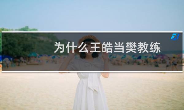 为什么王皓当樊教练