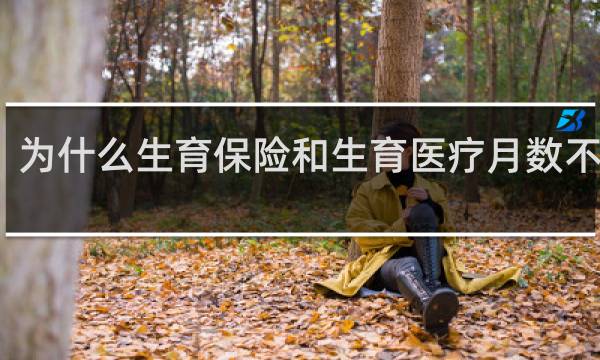 为什么生育保险和生育医疗月数不一样