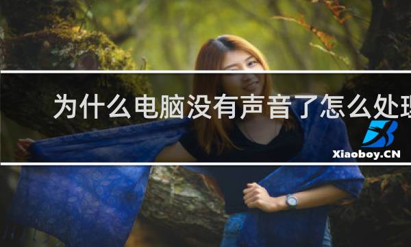 为什么电脑没有声音了怎么处理