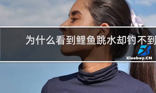 为什么看到鲤鱼跳水却钓不到
