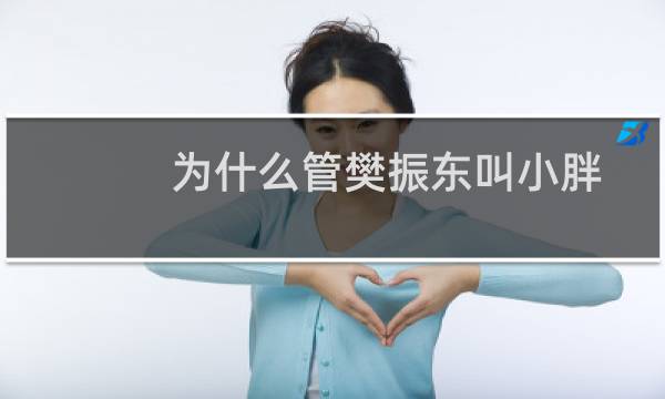 为什么管樊振东叫小胖