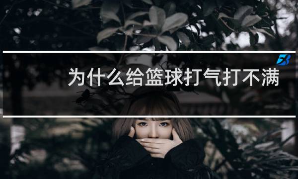 为什么给篮球打气打不满