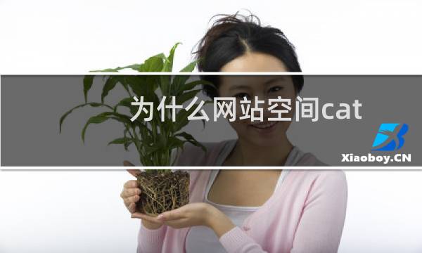 为什么网站空间catalina.out文件增长这么快，空间计