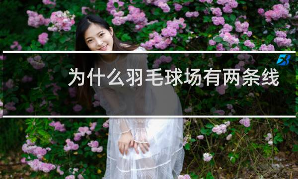 为什么羽毛球场有两条线
