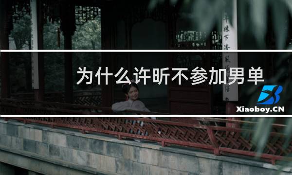 为什么许昕不参加男单