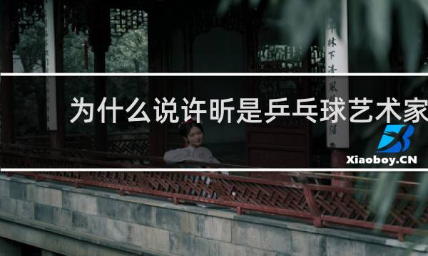为什么说许昕是乒乓球艺术家