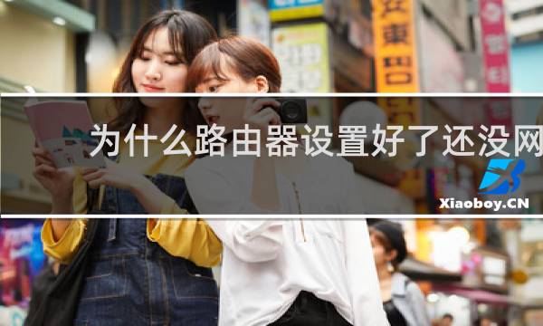 为什么路由器设置好了还没网