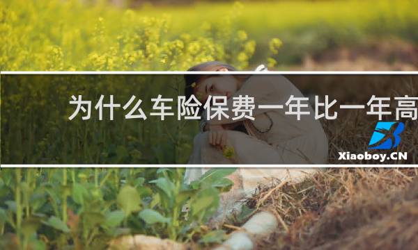 为什么车险保费一年比一年高