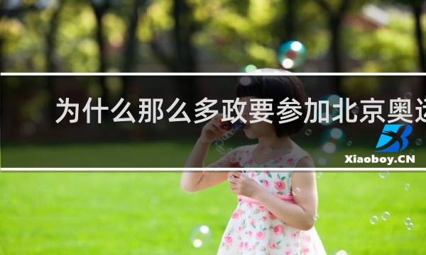 为什么那么多政要参加北京奥运会