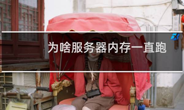 为啥服务器内存一直跑高-云服务器问题