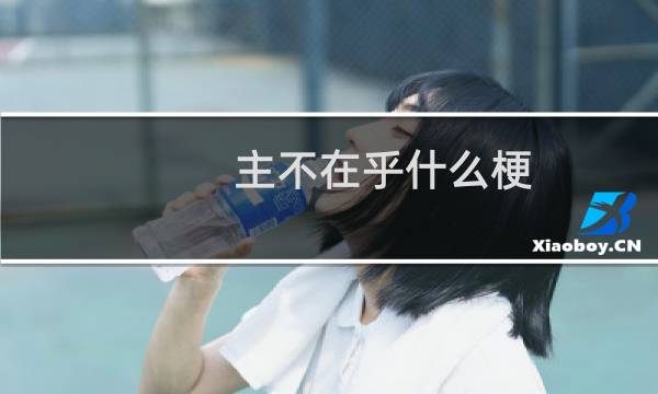 主不在乎什么梗