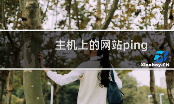主机上的网站ping域名提示“请求超时”，导致网站无法收录