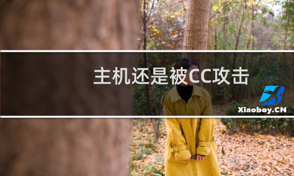 主机还是被CC攻击，请求技术帮助