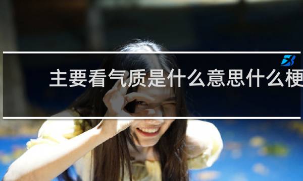 主要看气质是什么意思什么梗