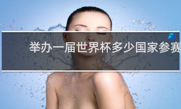 举办一届世界杯多少国家参赛