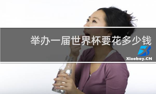 举办一届世界杯要花多少钱