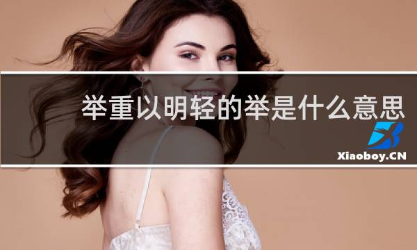 举重以明轻的举是什么意思