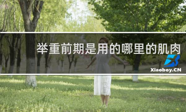 举重前期是用的哪里的肌肉