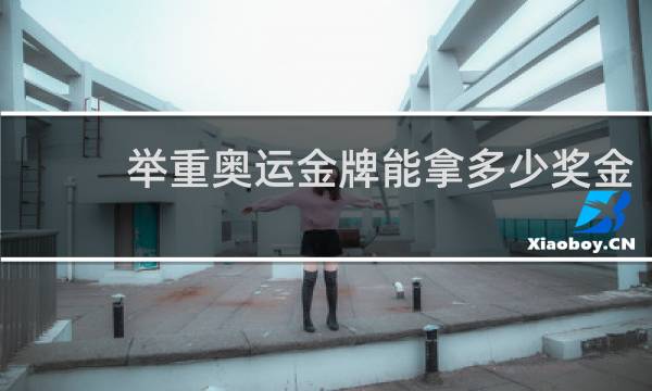 举重奥运金牌能拿多少奖金