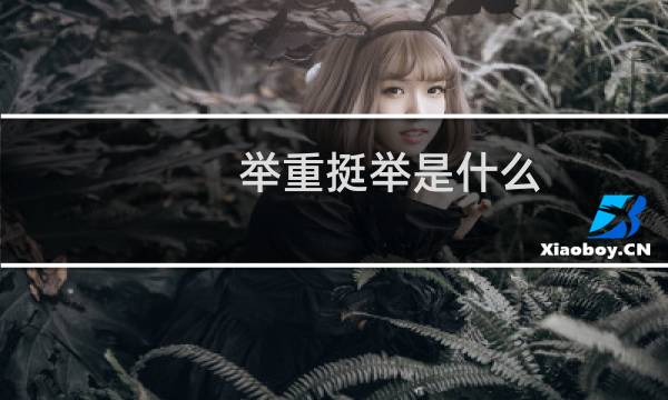 举重挺举是什么