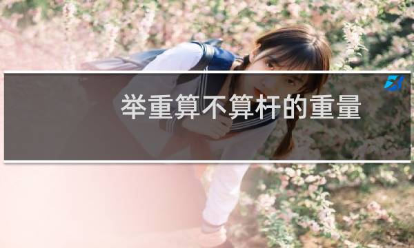 举重算不算杆的重量