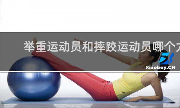 举重运动员和摔跤运动员哪个力量大