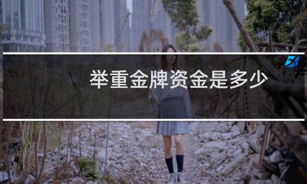 举重金牌资金是多少