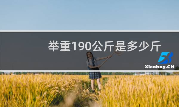 举重190公斤是多少斤