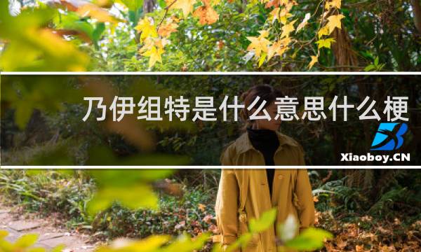乃伊组特是什么意思什么梗