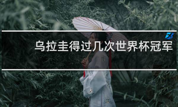 乌拉圭得过几次世界杯冠军