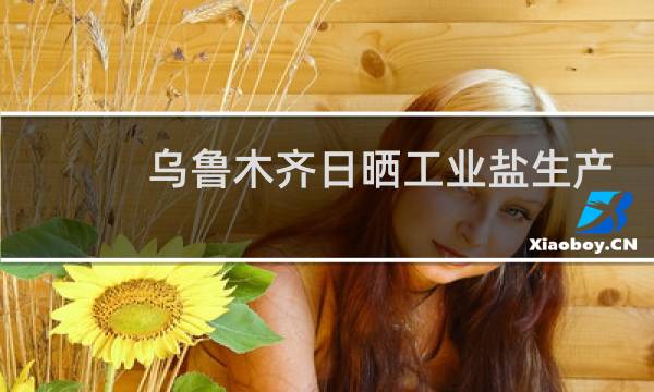 乌鲁木齐日晒工业盐生产厂家图片