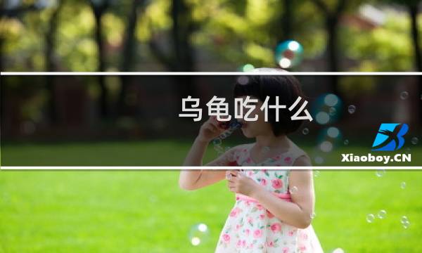 乌龟吃什么（乌龟可以吃什么食物）图片