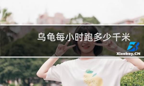 乌龟每小时跑多少千米