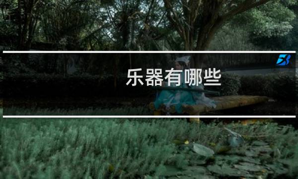 乐器有哪些
