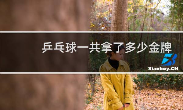 乒乓球一共拿了多少金牌