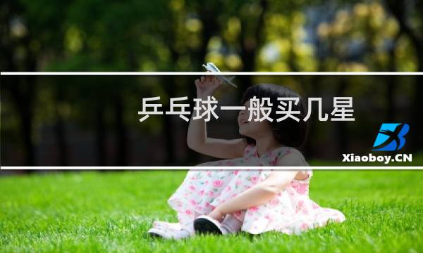 乒乓球一般买几星