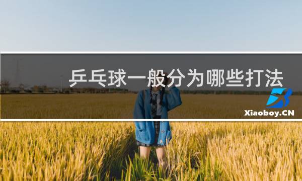 乒乓球一般分为哪些打法
