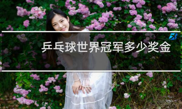 乒乓球世界冠军多少奖金