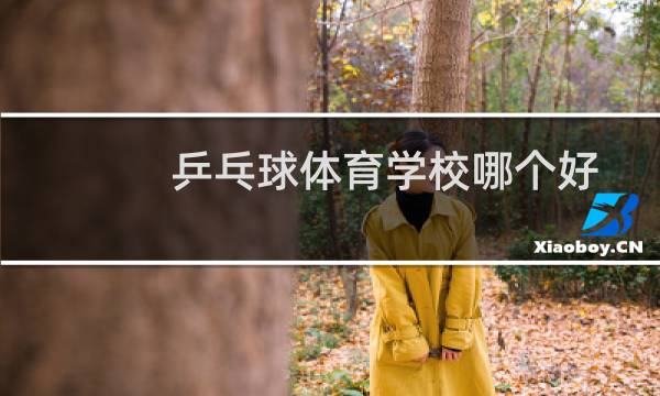 乒乓球体育学校哪个好