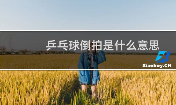 乒乓球倒拍是什么意思