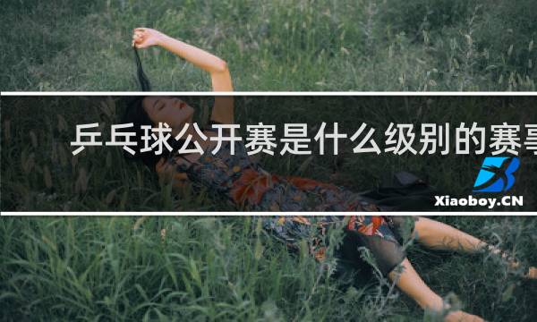乒乓球公开赛是什么级别的赛事