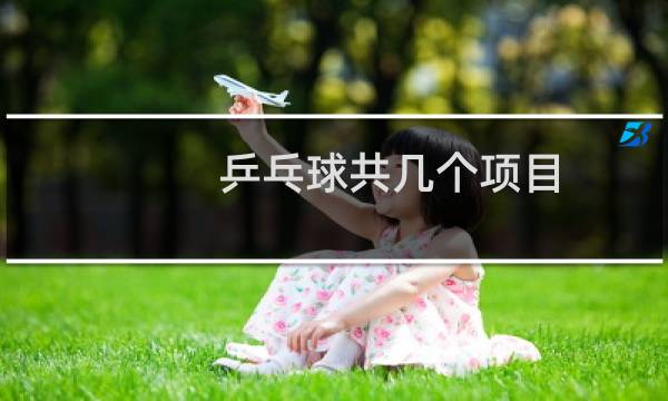 乒乓球共几个项目