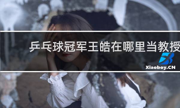 乒乓球冠军王皓在哪里当教授