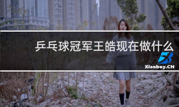 乒乓球冠军王皓现在做什么