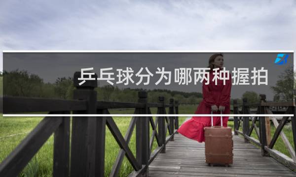 乒乓球分为哪两种握拍