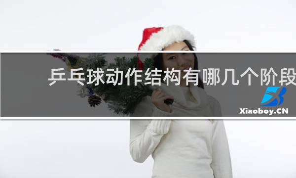 乒乓球动作结构有哪几个阶段